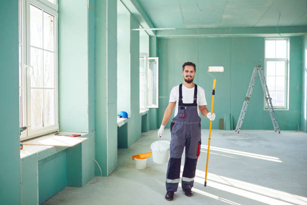 Professional Mold Removal in Denver, CO