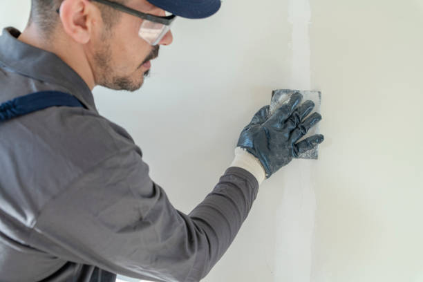 Best Asbestos and Lead Testing During Mold Inspection  in Denver, CO