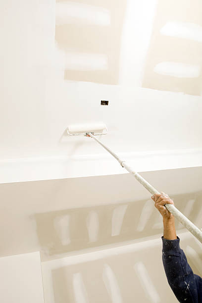 Best Emergency Mold Remediation  in Denver, CO