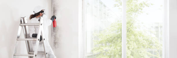 Best Dehumidification Services  in Denver, CO