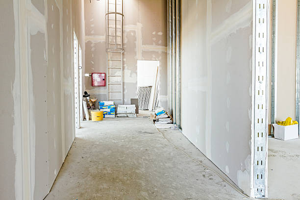 Mold Odor Removal Services in Denver, CO